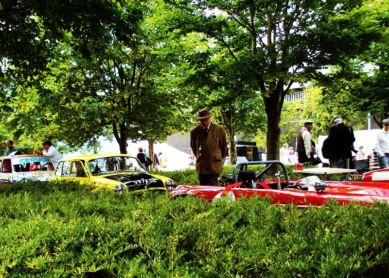 paddock.webp