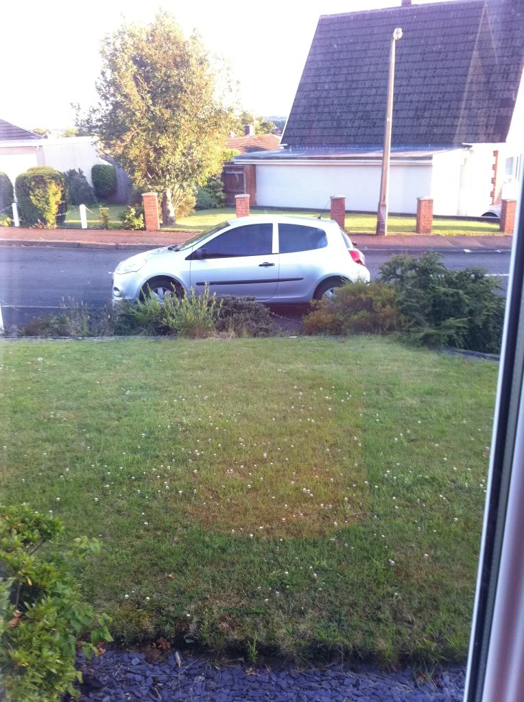 Paintjob3.jpg Paintjob3.jpg