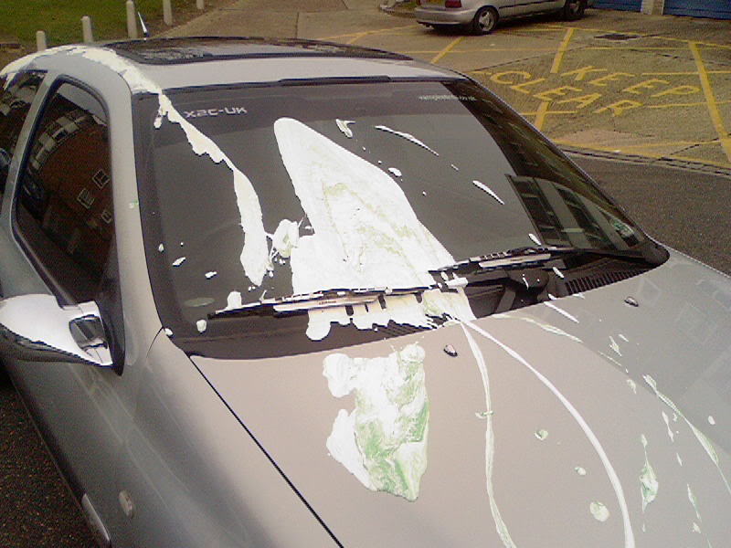 Paintoncar.jpg