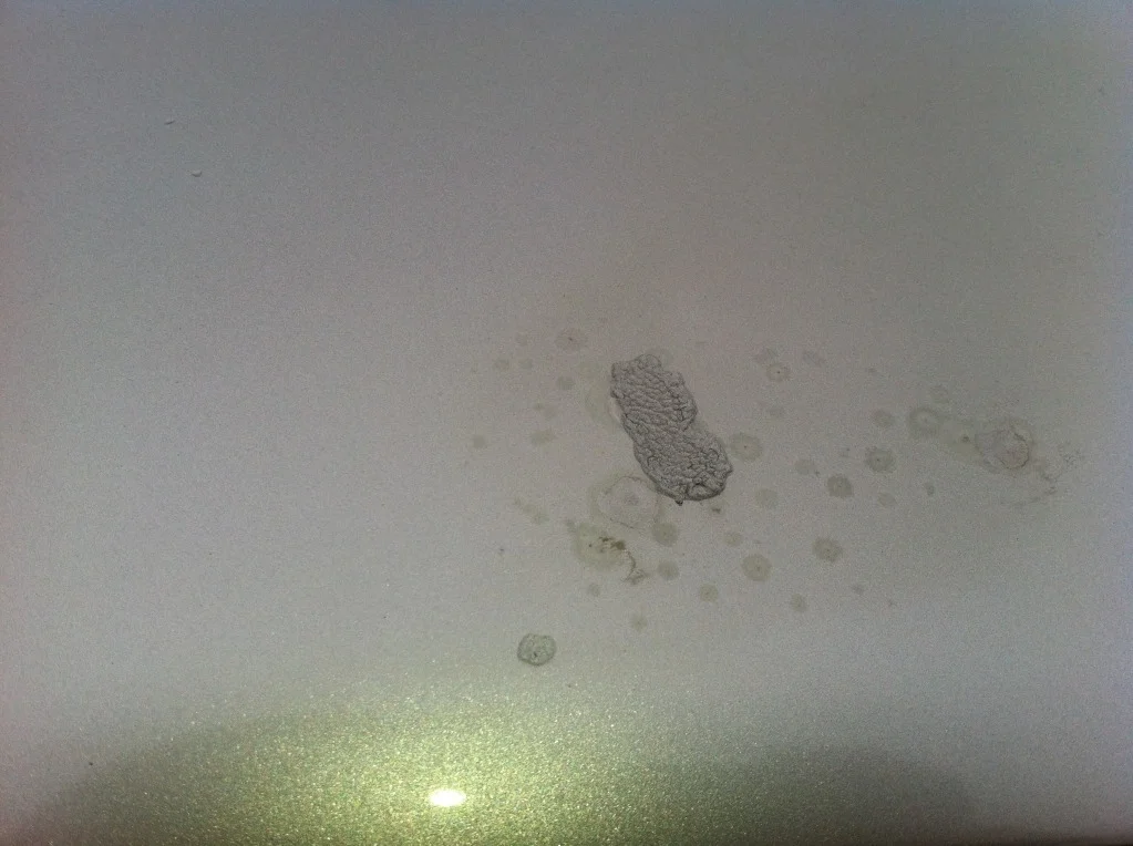 PaintworkDamage.webp