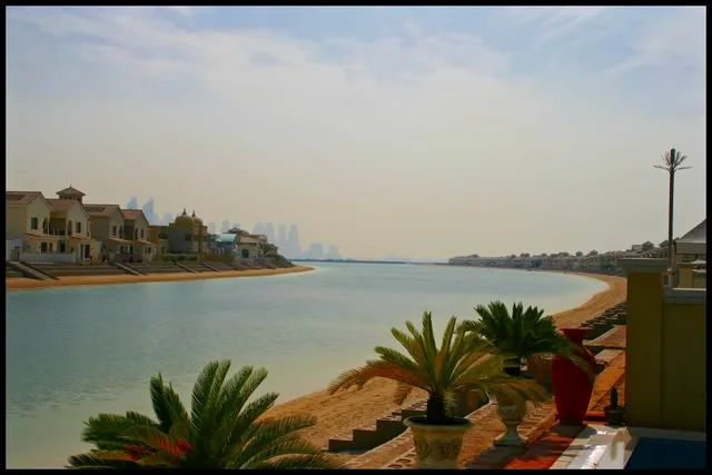 Palmbeach2.webp
