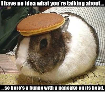 pancake-bunny.webp