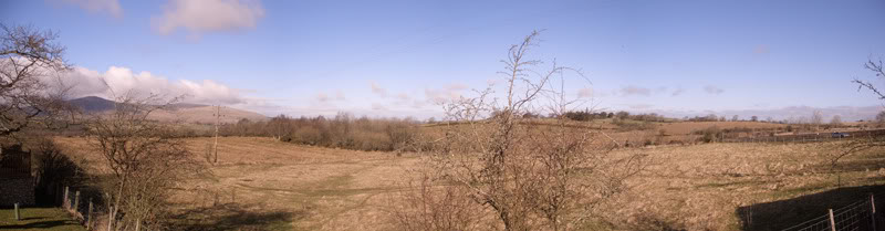 panorma1.jpg