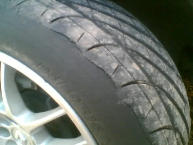 Parada.webp