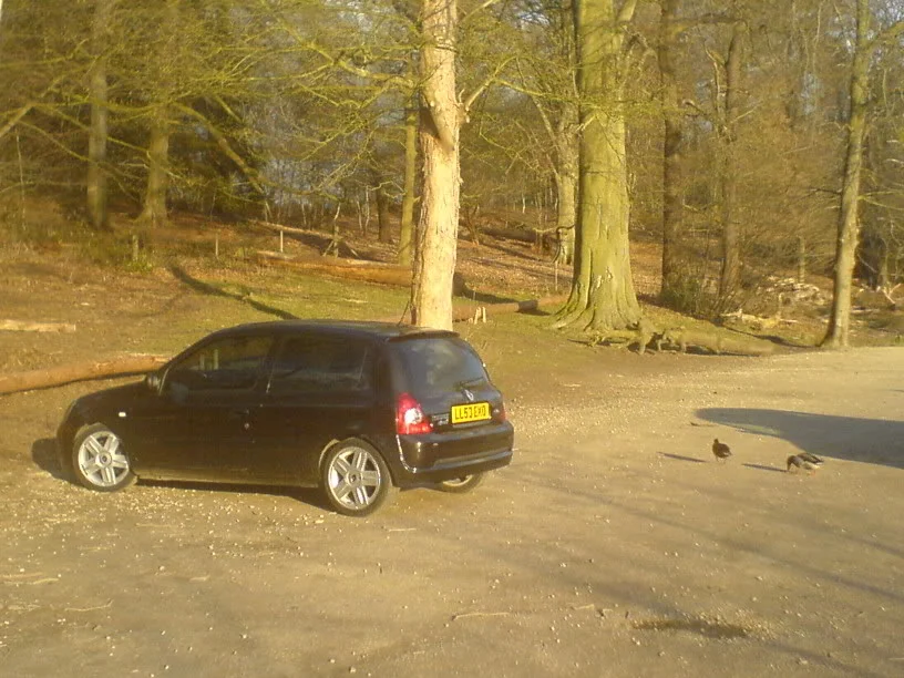 Parkedup.webp