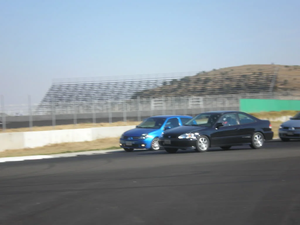 PC080037.webp