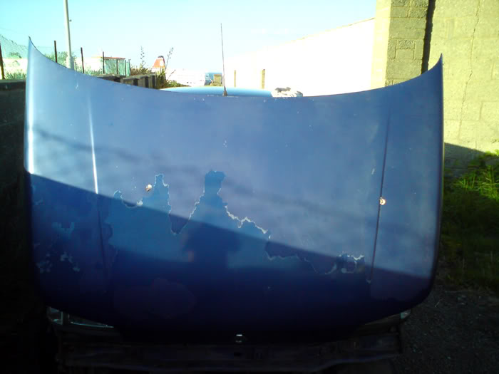 peeledbonnet.jpg peeledbonnet.jpg