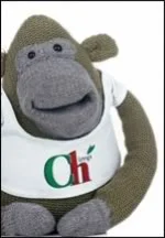 pg-tips-monkey.webp