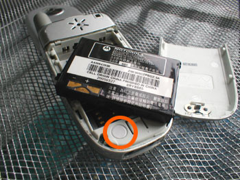 phonesticker1.jpg