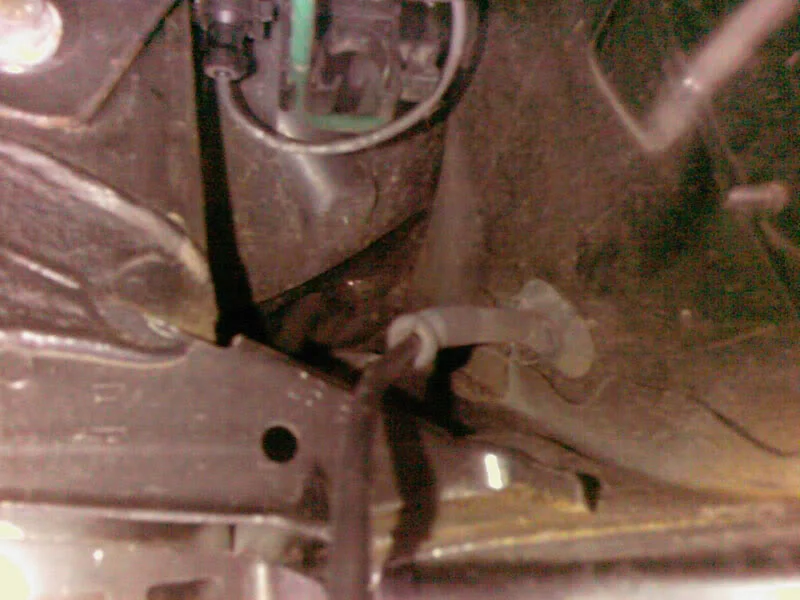 Photo-0002-19.webp