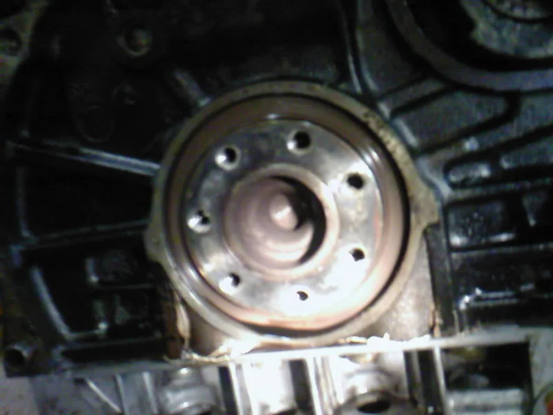 Photo-0004.webp
