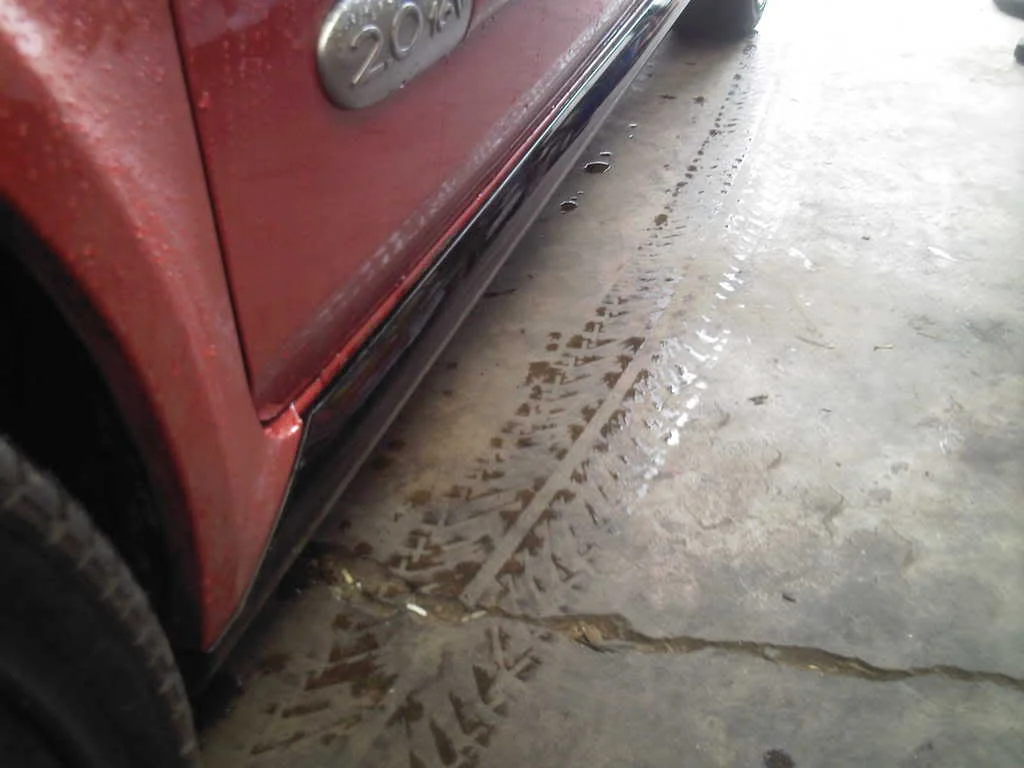 Photo-0005_1.webp