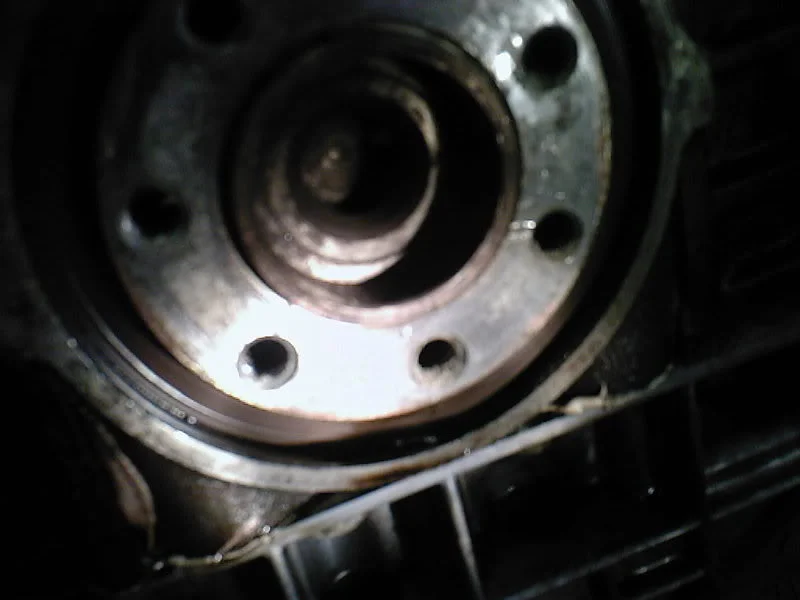 Photo-0006.webp