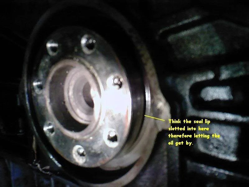 Photo-0007-1.webp
