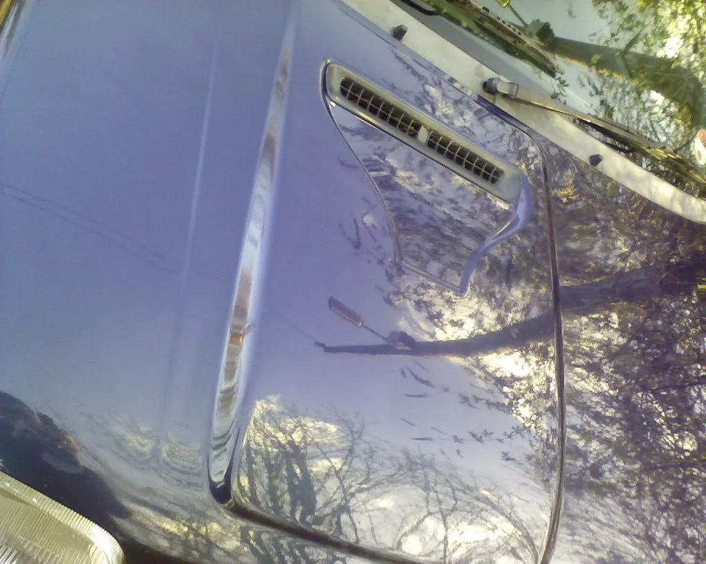 Photo-0064.webp