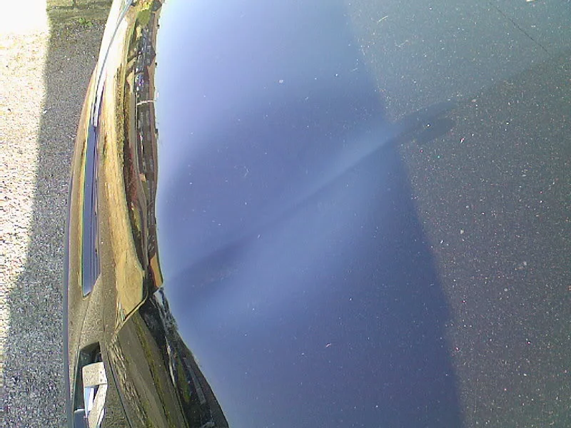 Photo-0174.webp