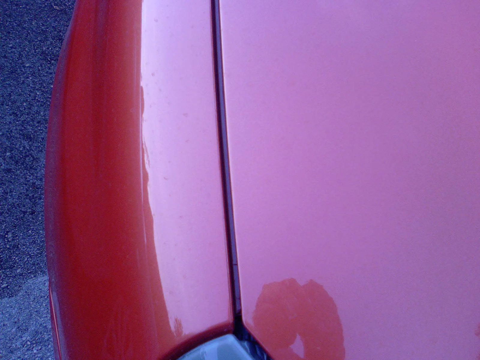 Photo-0212.webp