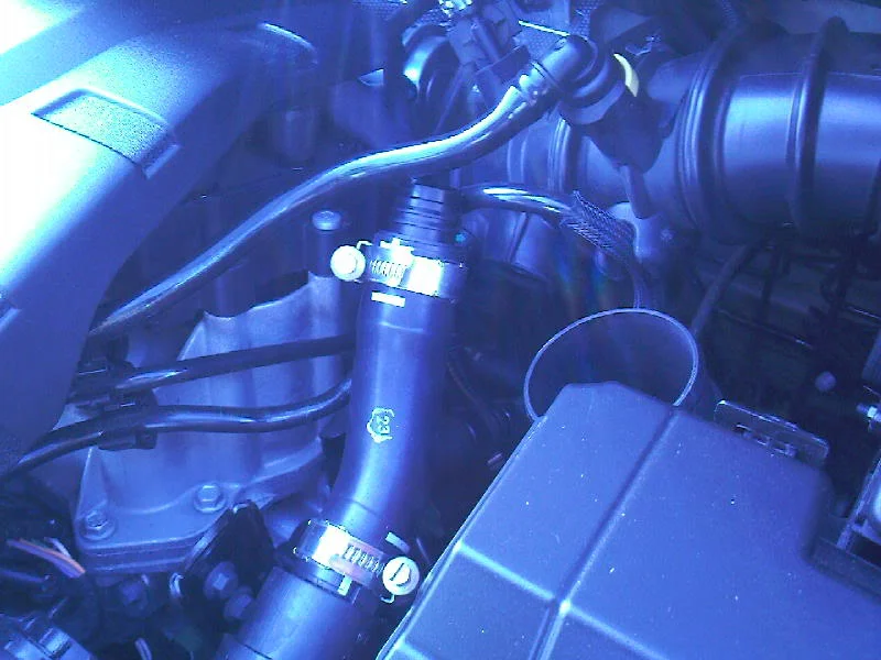 Photo-0329.webp