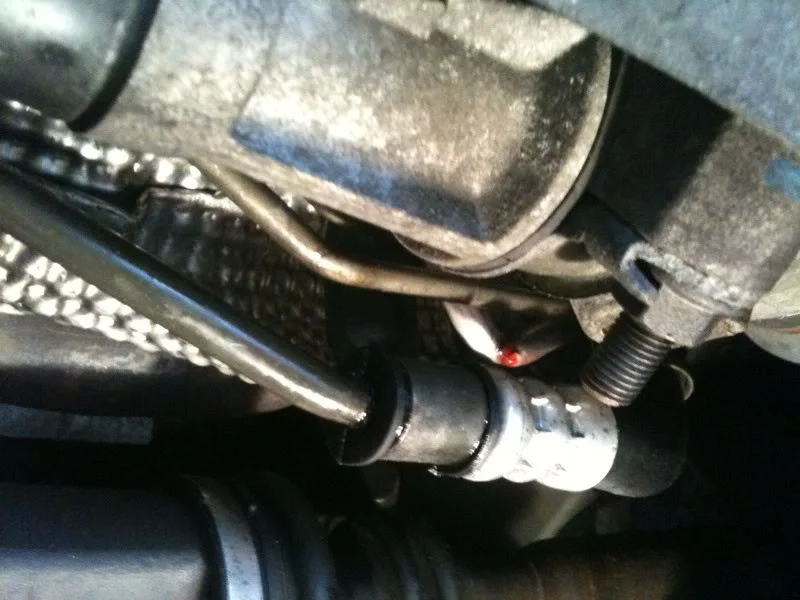 photo-5.webp