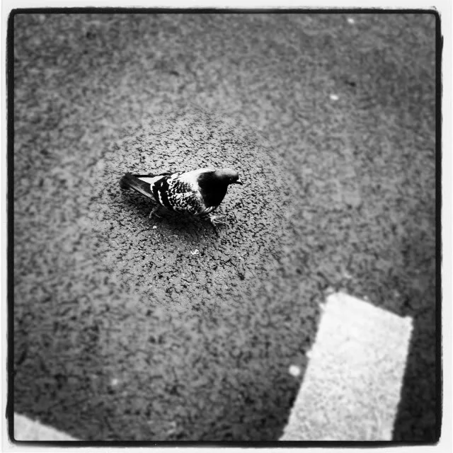 photo-5.webp