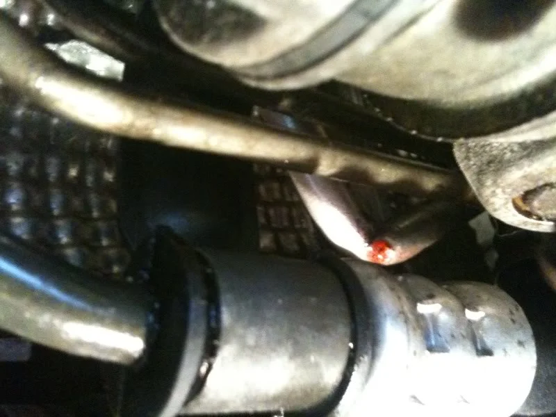 photo-6.webp