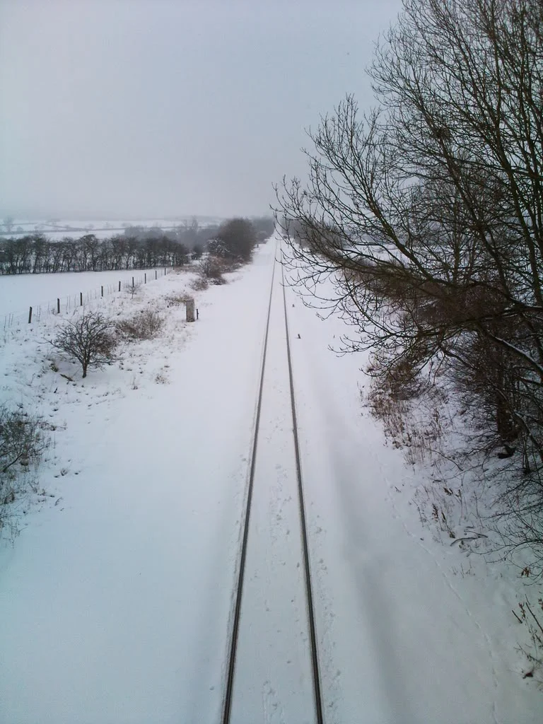 Photo0029.webp