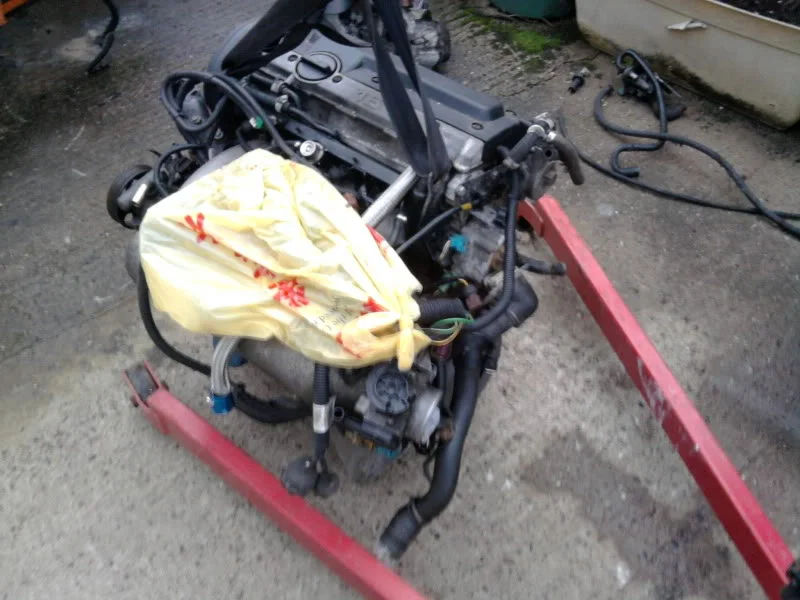 Photo0036.webp