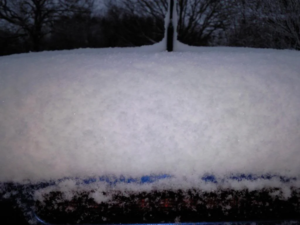 Photo0103.webp