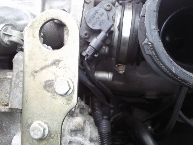 Photo0202.webp