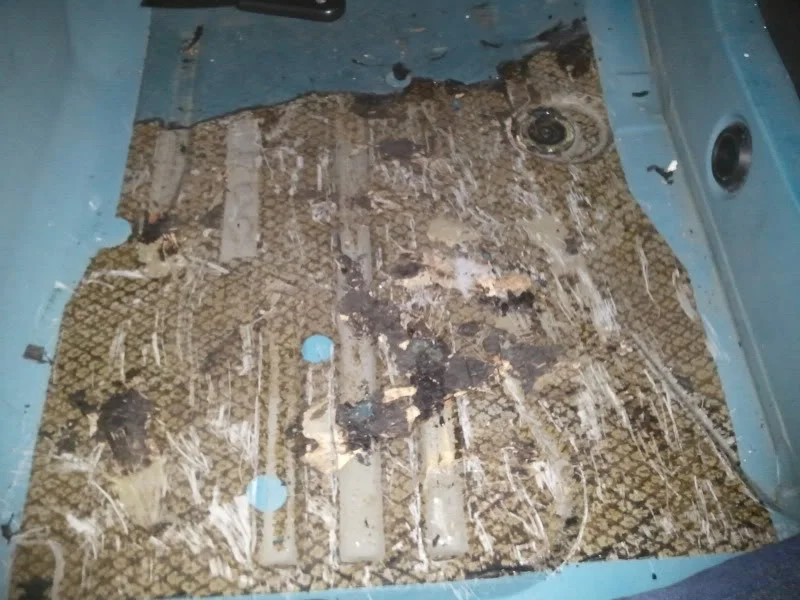 Photo0204.webp