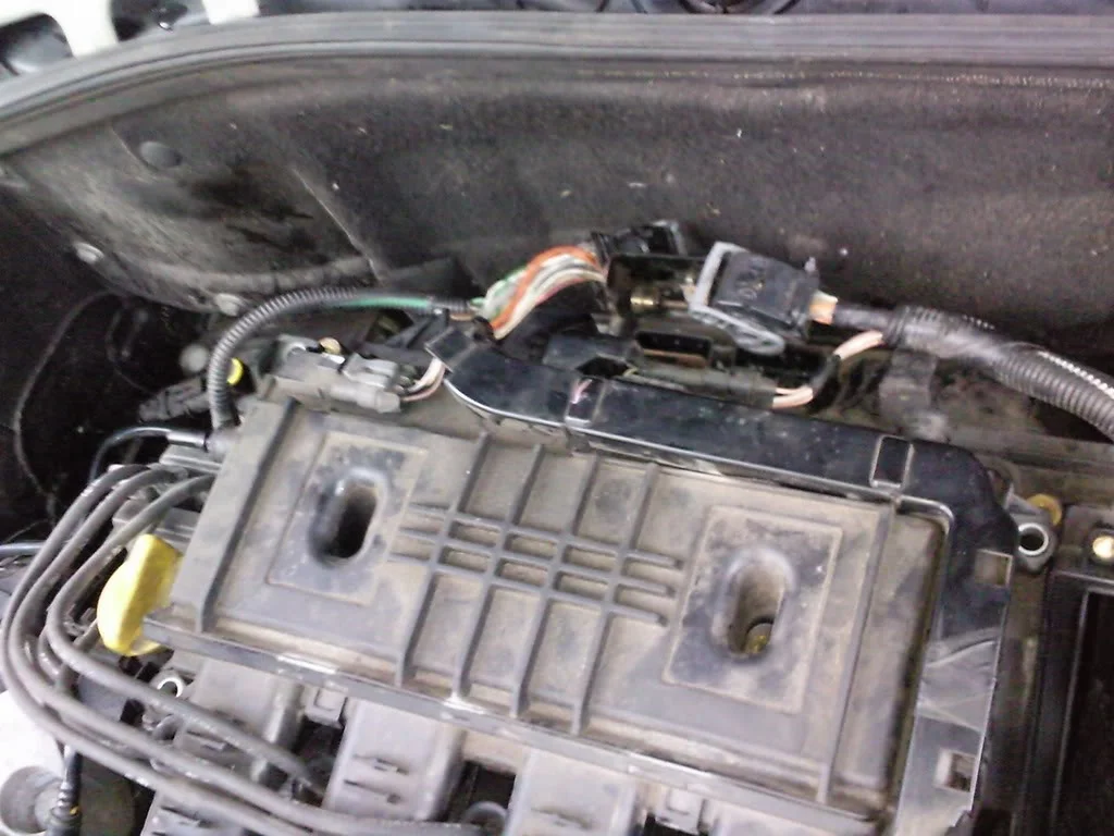 Photo0292.webp