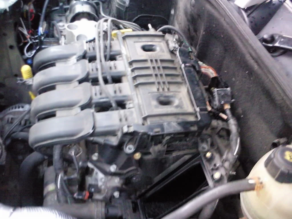 Photo0293.webp