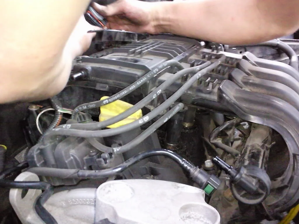 Photo0294.webp