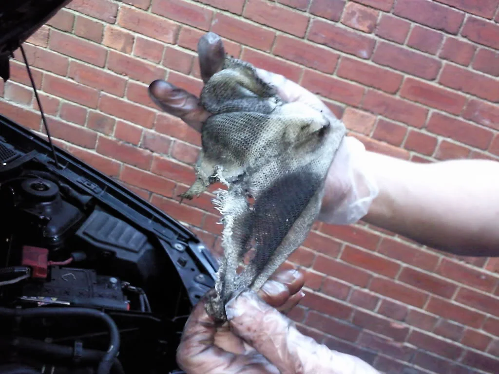 Photo0297.webp