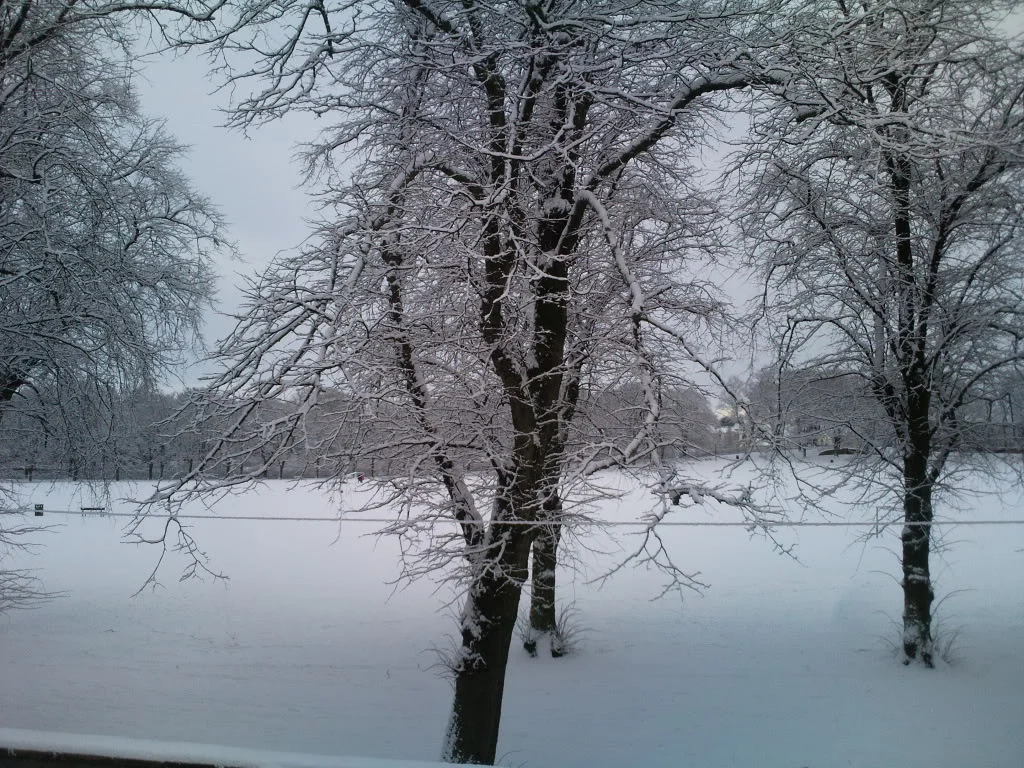 Photo0378.webp