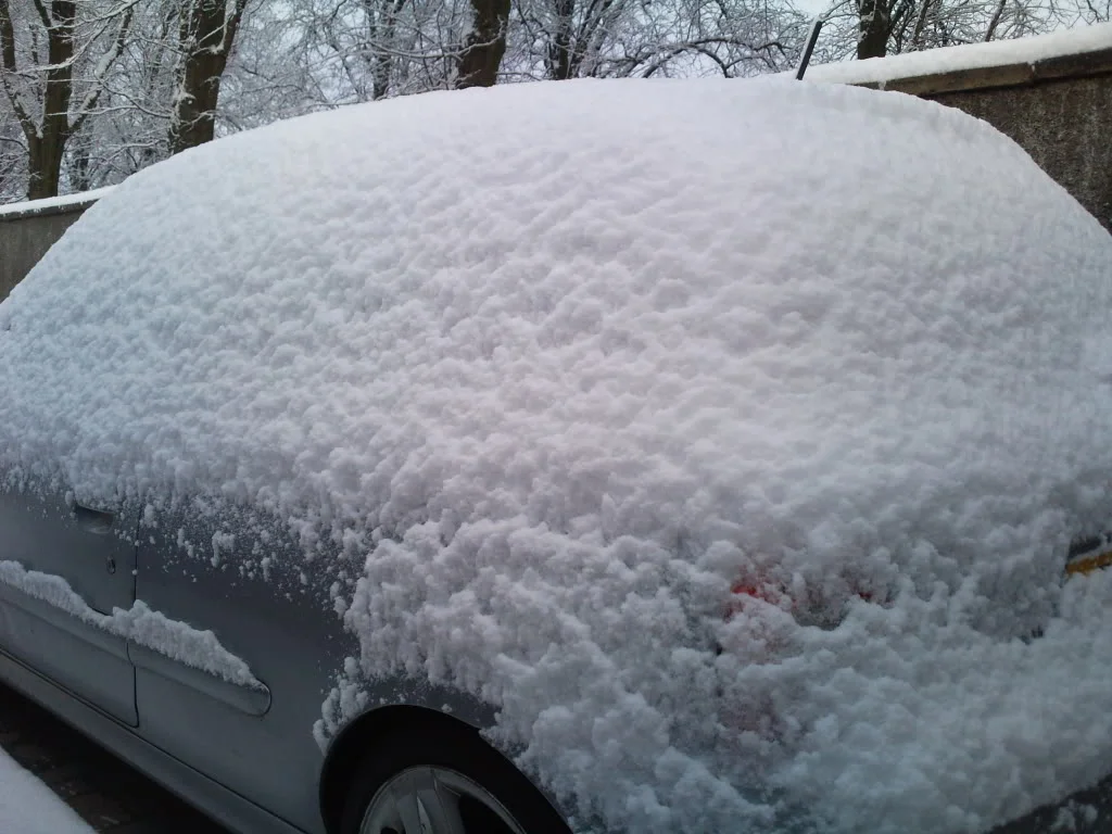 Photo0379.webp