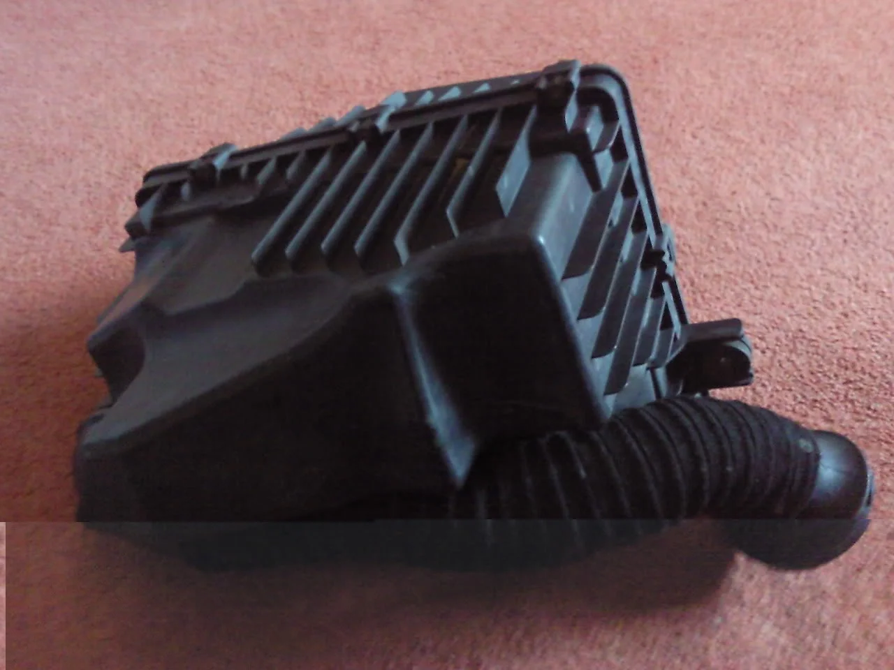 Photo0487.webp