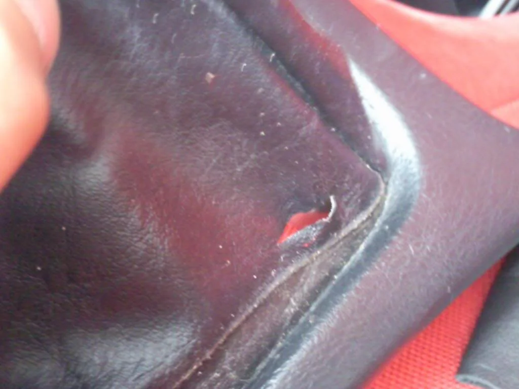 Photo0496.webp