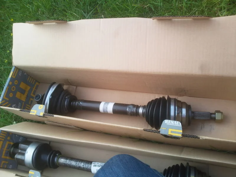 Photo0682.webp