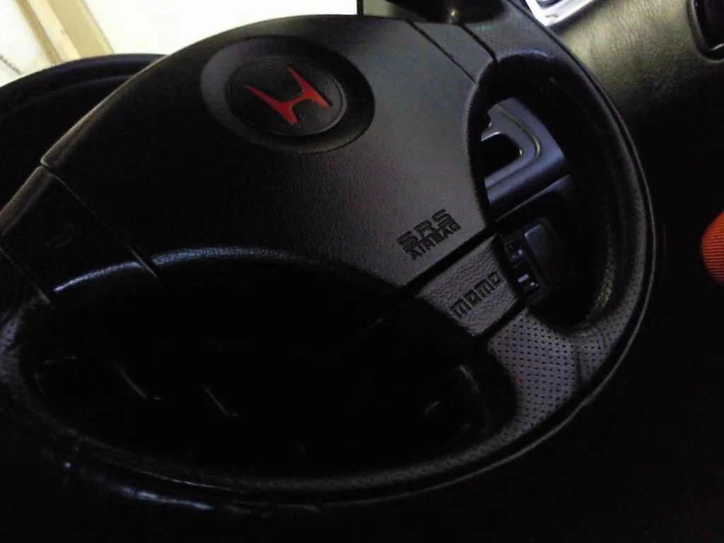 Photo0780.webp