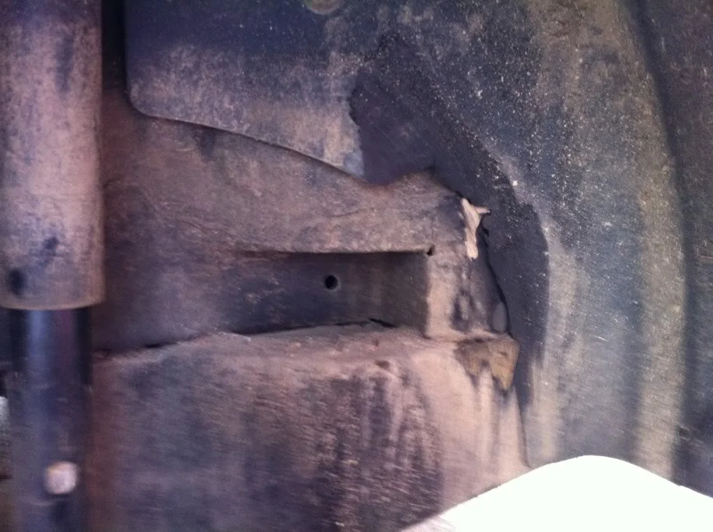 photo1.webp