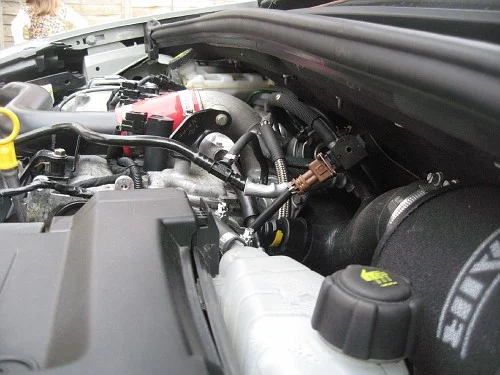 photo2-vi.webp