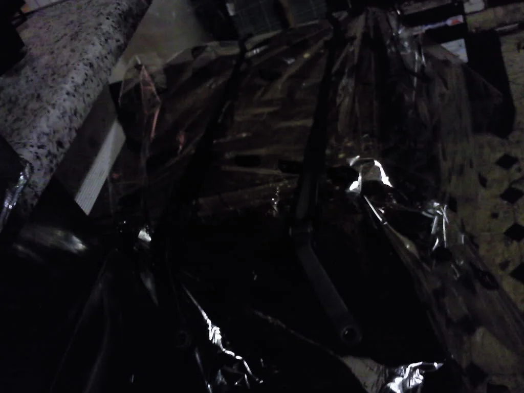Photo3184.webp