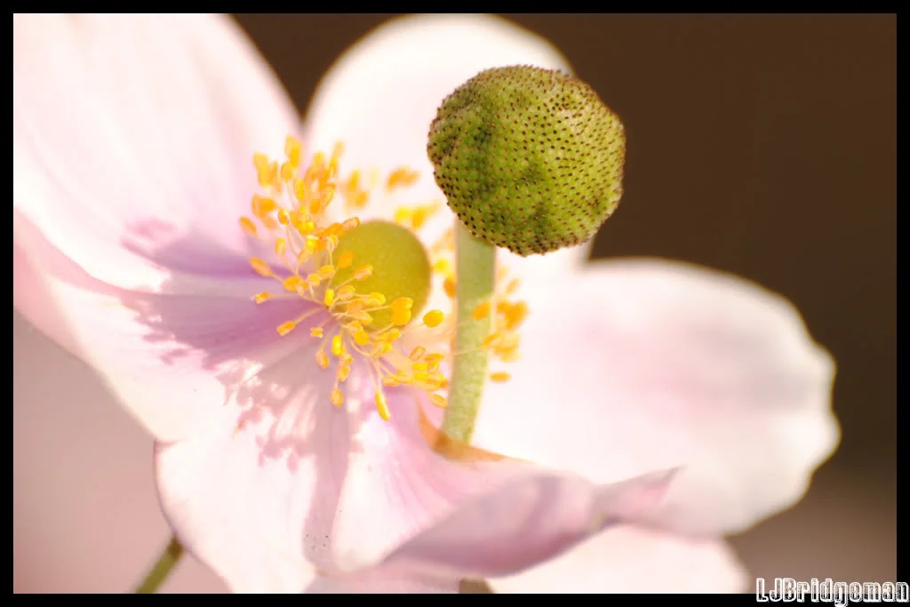Photography0002.webp