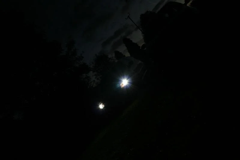 Pic093.webp