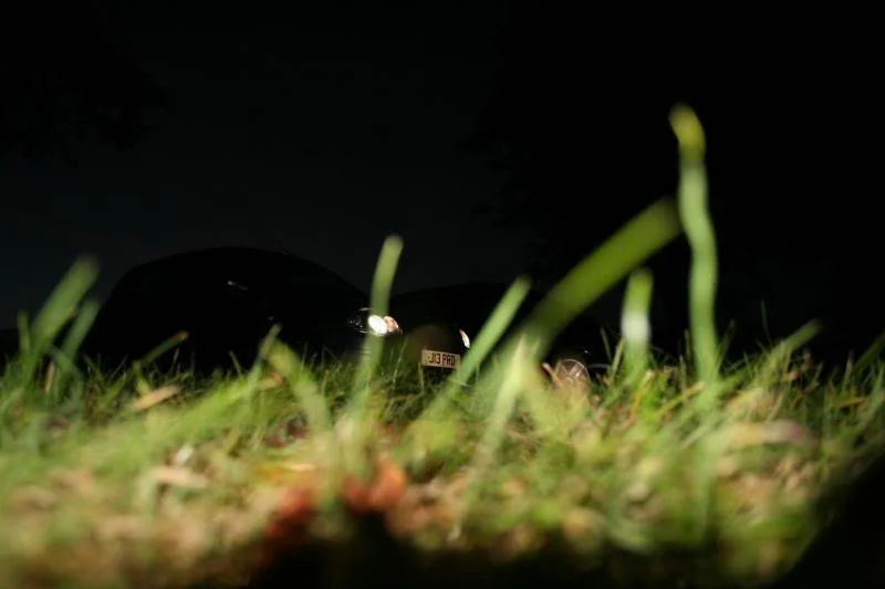 Pic123.webp