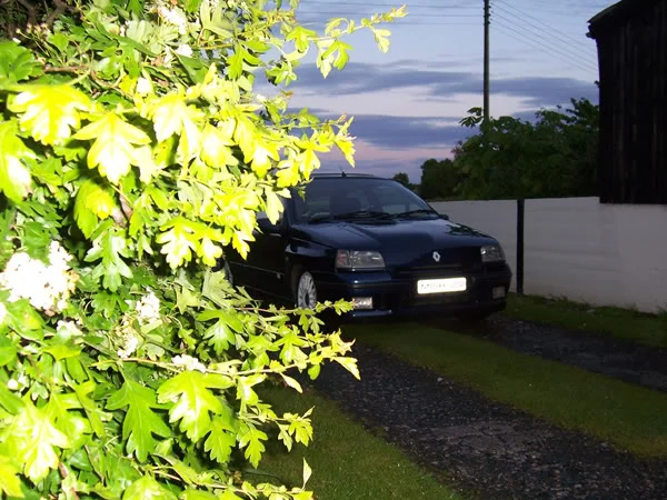 pic16.webp