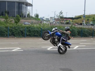 pic17.webp