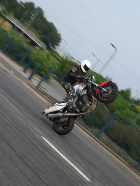 pic19.webp