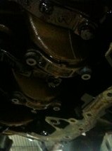 pic1_zps3c16060d.jpg